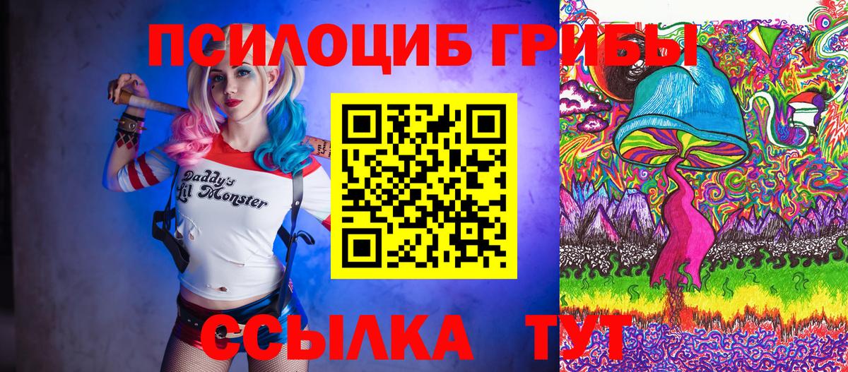 Псилоцибиновые грибы Cubensis  Вход с VPN  Усолье-Сибирское 